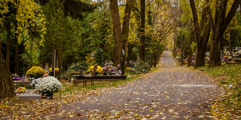 Cemetery path lined with graves and flowers among autumn trees