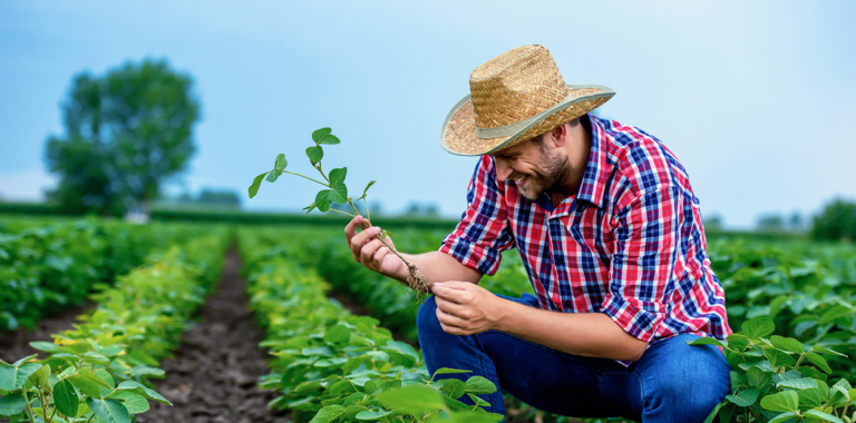 Farmer crouching in a field examining an uprooted plant
