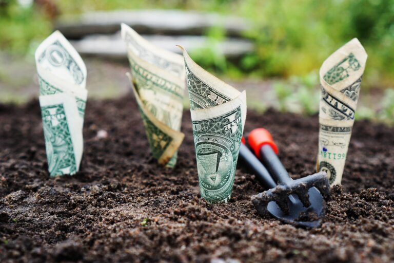 Dollar bills rolled into cones planted in soil next to a garden tool